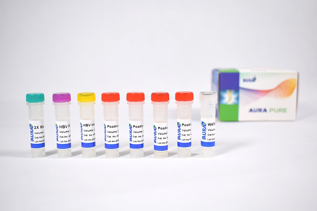 Hepatitis B Virus